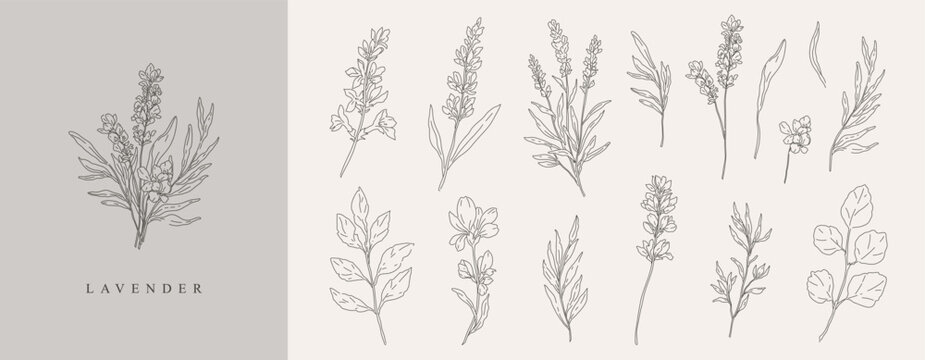 Lavender, wildflowers, leaves, stems. Line art. Hand drawn floral vector illustration for wedding invitation, save the date, logo, monogram, greeting card card, packaging