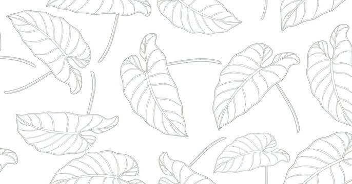 Minimalist seamless taro leaf pattern in fine gray outline on white background, perfect for botanical wallpaper, textile design, eco packaging, spa branding, and natural-themed projects.