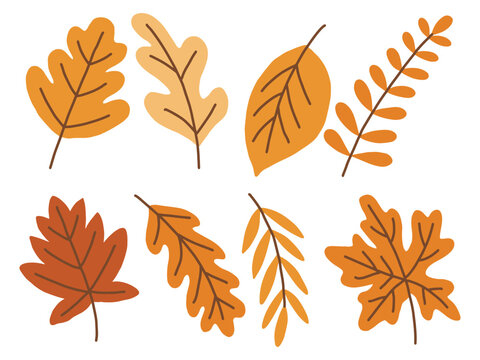 Autumn leaves vector illustration set, hand drawn minimal fall foliage collection in warm colors isolated elements for thanksgiving greeting cards and stickers