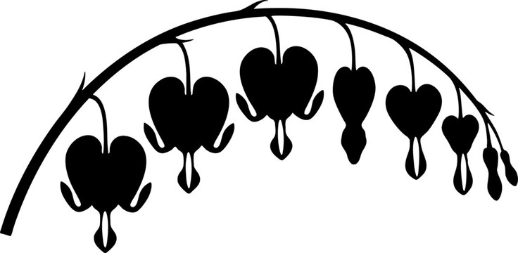 Black silhouette of bleeding heart flower branch on white