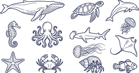 Hand Drawn Marine Wildlife Collection Featuring Whale, Sea Turtle, Dolphin, Shark, Octopus, Jellyfish, Crab, and Ocean Animal Vector Illustration Set © MstSuborna