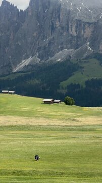 Solo hiker walks across alpine meadows below Sassopiatto on Alpe di Siusi, or Seiser Alm, Italy. Slow travel, outdoor adventure and peaceful nature in the Dolomites