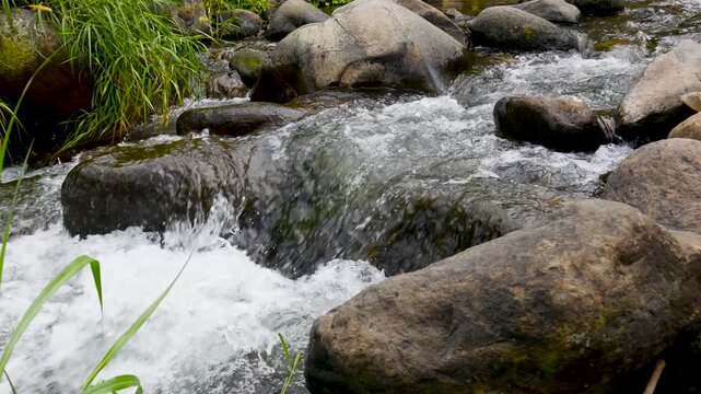 Looping closeup of clear water running over mossy rocks, bringing a sense of freshness and calm. Perfect for ambience loops, meditation, and nature backgrounds.