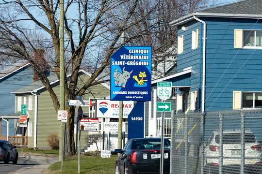 Quebec, Canada, 24 April 2026 : A blue sign for Saint-Gregoire Veterinary Clinic stands on a residential street with other commercial and road signs.