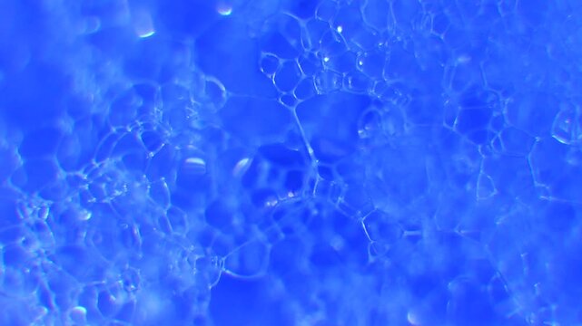 Close-up microscopic view of blue-stained cell clusters with intricate network patterns and textures.