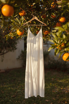 White linen dress hanging from an orange tree branch, Mediterranean summer lifestyle
