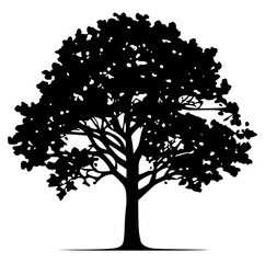 Fototapeta premium Professional Black Tree Silhouette Isolated Vector Illustration for Graphic Design