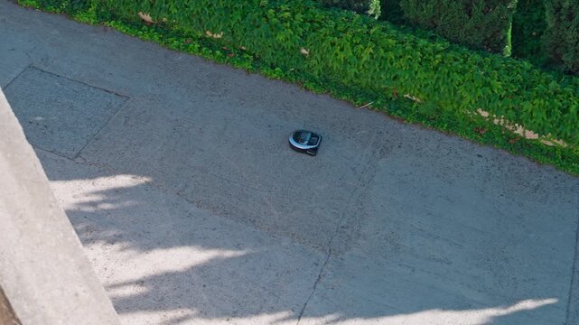 black robotic vacuum cleaner rolling along a sunny outdoor concrete path beside green ivy seen from a high angle suggesting a runaway smart device. 