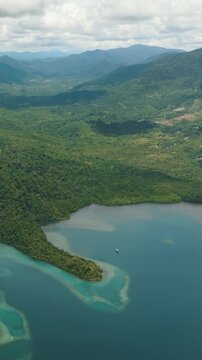 Coastline of Borneo island with jungle. Sabah, Malaysia. Vertical video.