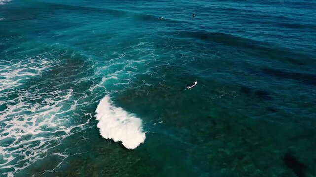 SURFFING TRASNOARENT WATER MEDITERRANEAN SEA