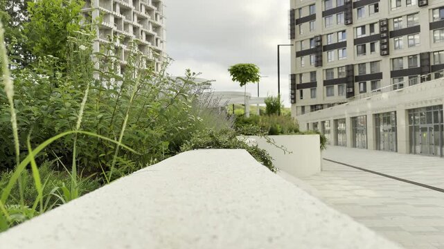 Lush green plants grow peacefully behind a clean stone wall. Towering modern buildings surround the empty plaza, creating a quiet and slightly lonely mood under a cloudy sky.