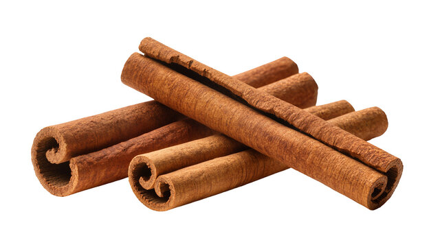 Isolated cinnamon sticks spice, sweet aromatic flavor ingredient for cooking and baking