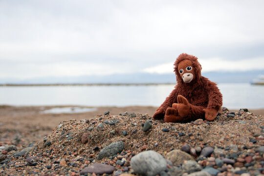 toy baby monkey sitting on the sand of the beach on a cloudy day, mountains in the background