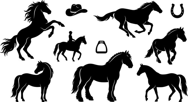 Equestrian and Horses Black Silhouette Set Featuring Galloping Mustangs, Rearing Stallions, Cowboy Hat, Horseshoe, and Equestrian Riding Icons Vector Illustration