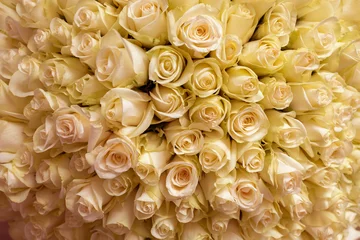 Large bouquet of yellow roses © mejn