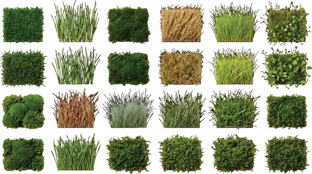 Collection of various grass and moss square patches isolated on white background for landscape design elements