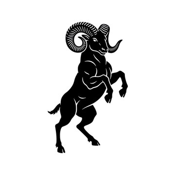 a highly muscular ram rearing aggressively, presented as a perfect deep black silhouette with textured horns, isolated on transparent, conveying primal power symbolism