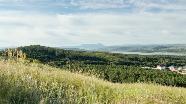 A majestic mountain stands on the horizon past a dense green forest. Wild grass sways on a sunny hillside, creating a deeply peaceful and serene feeling of freedom.