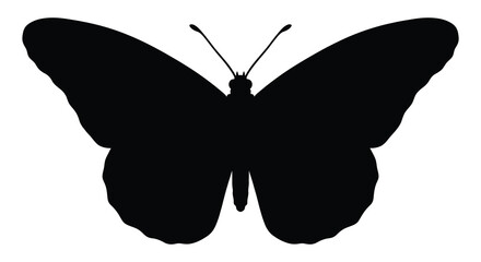 Butterfly Silhouette Against A White Background Insect Shape © AlhamdulillahAdobe