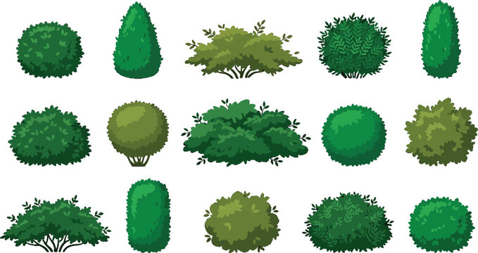 Set of green garden bushes and ornamental shrubs for landscape design isolated on white background vector illustration
