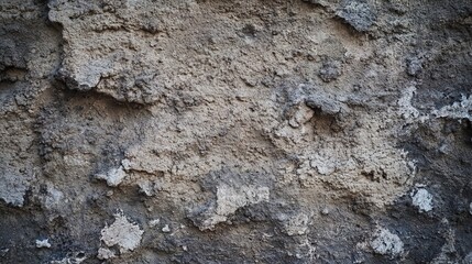 Fototapeta premium brutalism. Close-up of a raw concrete wall with natural imperfections and dramatic lighting. real-estate listings.