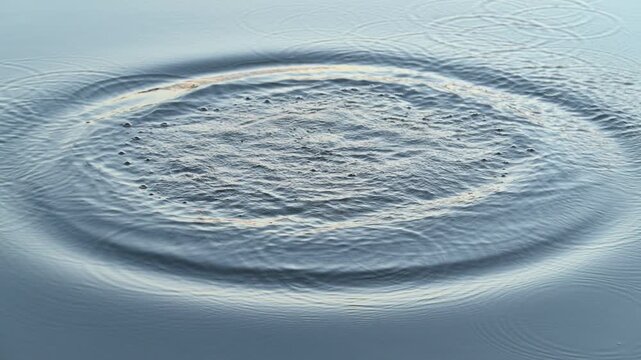 Stone Splash and Ripples on Calm Lake Surface in Slow Motion