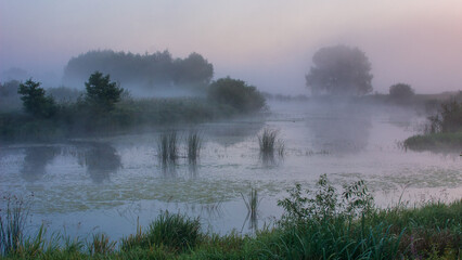 A misty morning landscape featuring a serene river surrounded by lush green vegetation and silhouetted trees under a soft, hazy sky © Александр Арендарь