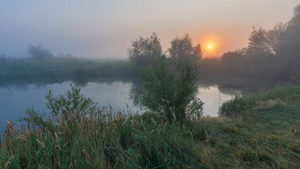 A serene misty sunrise over a calm river surrounded by lush green vegetation and trees creates a peaceful morning landscape © Александр Арендарь