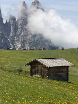 Traditional wooden cabin in wildflower meadows below cloud-covered Santner and Euringer peaks of the Sciliar massif at Alpe di Siusi, Dolomites, Italy