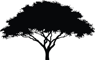 Fototapeta premium Black silhouette of a tree with detailed leaves against 