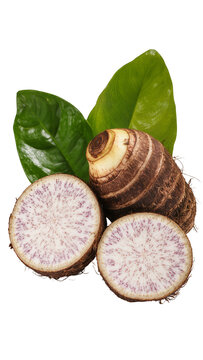 Isolated taro root, whole and sliced, showcasing interior with purple flecks, fresh green leaves