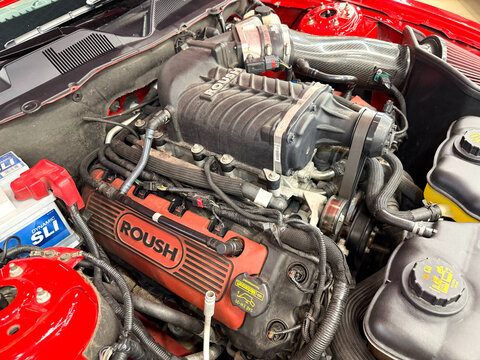 Powerful V8 car engine with Roush supercharger and custom red valve covers under the open hood of a Ford Mustang sports car. Tuned V8 sports car engine compartment with Roush brand logo text. 