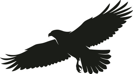 eagle in flight silhouette bird wing fly animal wildlife nature sky freedom © Ataullah