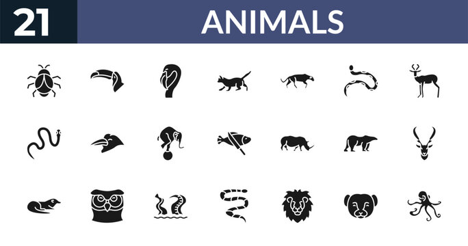 filled animals icons set - big bug, big toucan, flamingo, weasel. editable vector for web and mobile ui