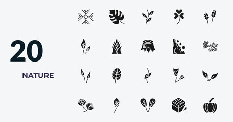filled nature icons set - big snowflake, philodendron, pinnation, damaged. editable vector for web and mobile ui © IconArt