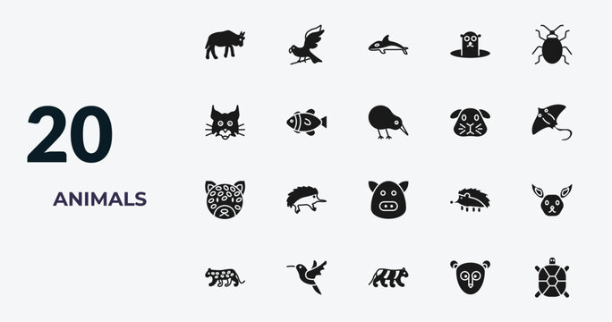 filled animals icons set - wildebeest, hawk, orca, philippine tarsier. editable vector for web and mobile ui