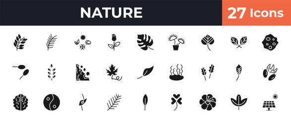 filled nature icons set - bilberry leaf, pine leaf, philodendron, sassafras leaf. editable vector for web and mobile ui © IconArt