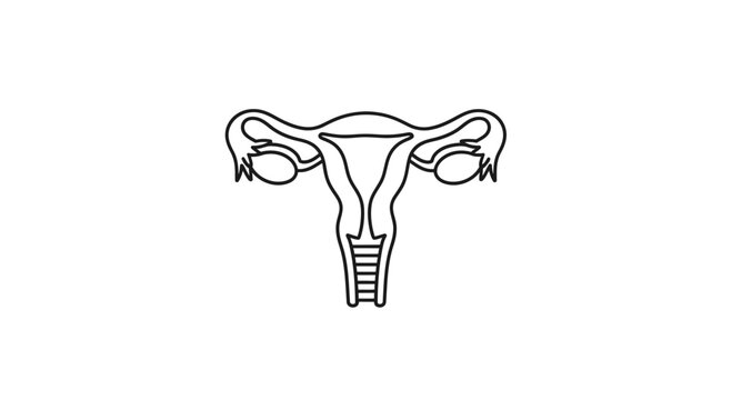 Uterus and fallopian tubes icon, female reproductive system outline, medical vector illustration