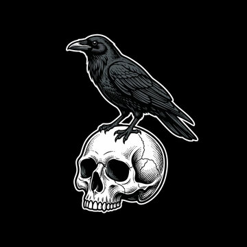 A black raven stands perched upon a detailed human skull