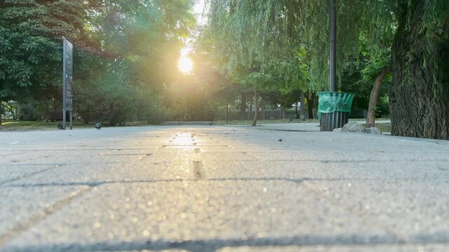 The bright morning sun shines beautifully along a paved path in a green park in Simferopol, Crimea. This serene scene brings a deeply peaceful and hopeful feeling.