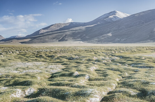 A mountain landscape featuring rocky peaks and snow-capped glaciers, with a valley containing fields, pastures of fresh green grass, and clear-water rivers&mdash;suitable for a background image