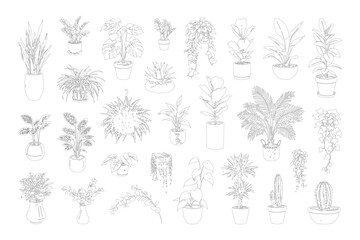 CAD potted plant elevation line drawing set, front view indoor houseplants cactus fern and tropical plants for architecture landscape design vector illustration © Addictive Stock