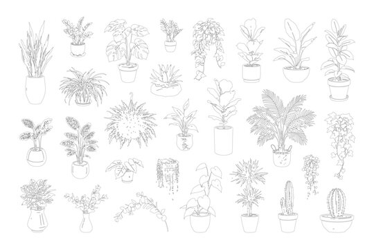 CAD potted plant elevation line drawing set, front view indoor houseplants cactus fern and tropical plants for architecture landscape design vector illustration