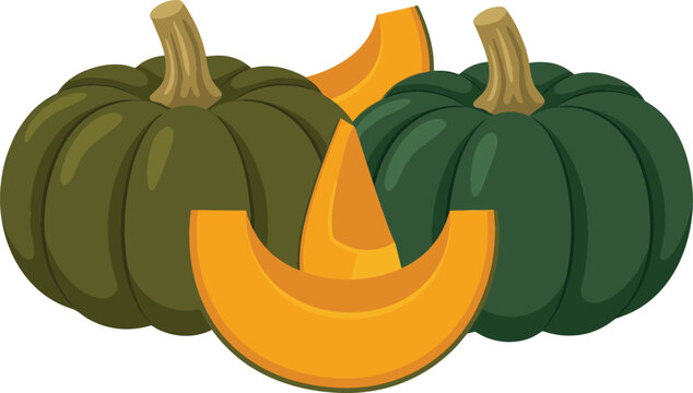 Fresh whole green pumpkins and raw orange slices isolated on white background autumn harvest food element sweet squash cartoon vector illustration