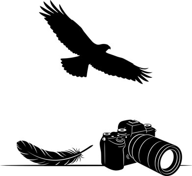 Silhouette of an eagle in flight over a camera and feather