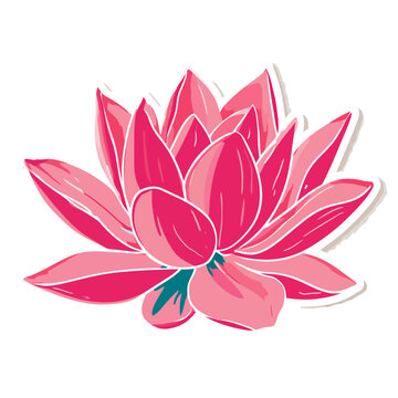 Pink lotus flower vector illustration
