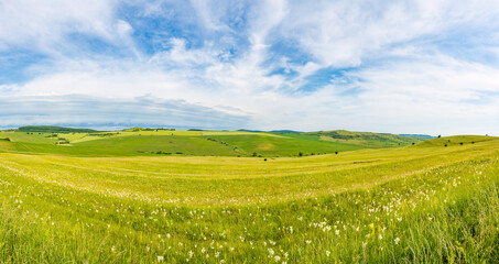 Fototapeta premium Green Summer Meadow and Rolling Hills in Rural Transylvania