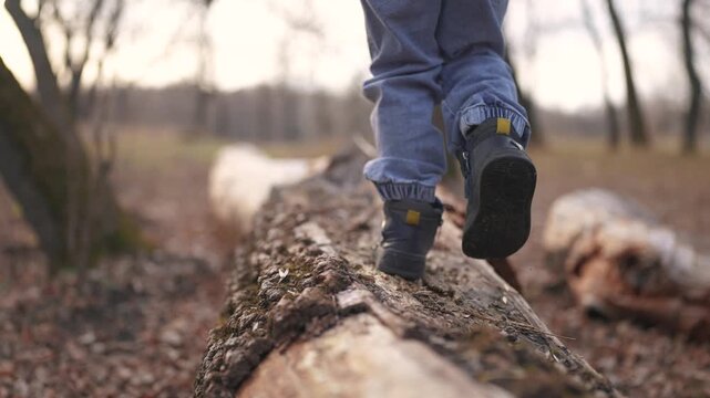boy baby plays in a forest park. A close-up of a child's feet walking along a log of a fallen tree. happy family child dream concept. child in sneakers walks on lifestyle fallen tree in a park
