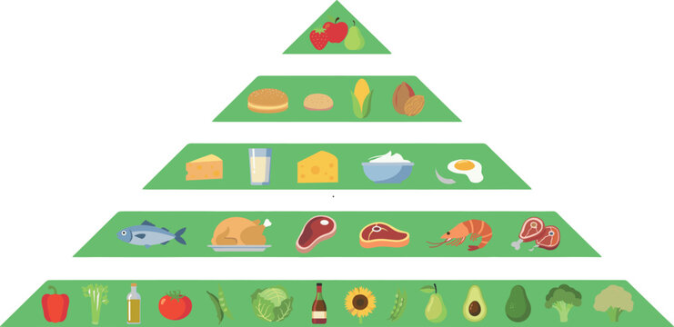 Healthy food pyramid infographic chart template with flat icons of fresh vegetables fruits proteins dairy grains and healthy fats vector illustration
