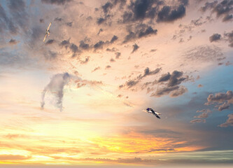 Planes group in acrobatic flight with smoke trace over blue sky © manola72
